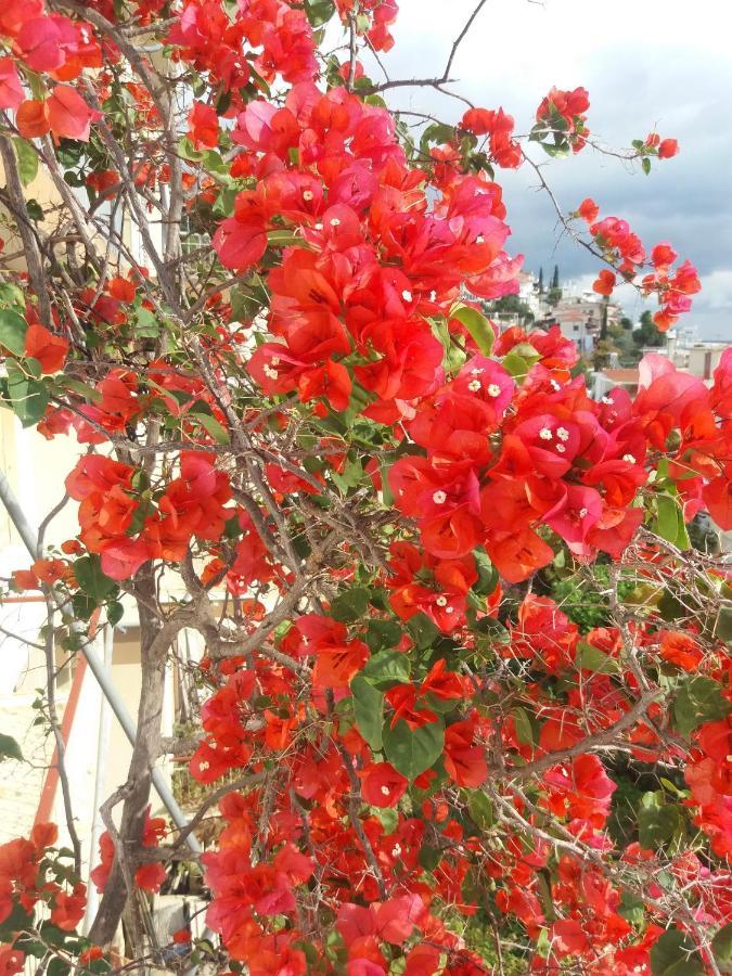Apartment In Poros Πόρος Εξωτερικό φωτογραφία