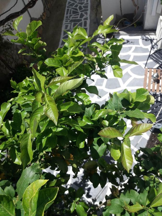 Apartment In Poros Πόρος Εξωτερικό φωτογραφία