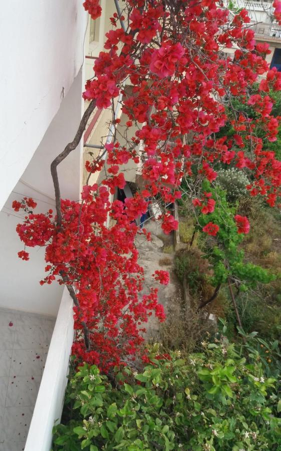 Apartment In Poros Πόρος Εξωτερικό φωτογραφία